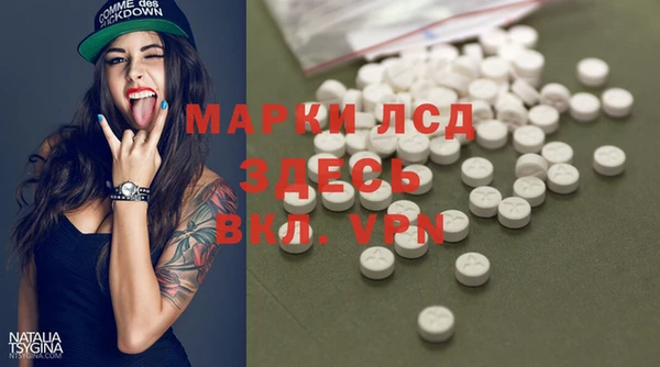 СК Алексин