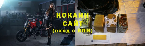 СК Алексин