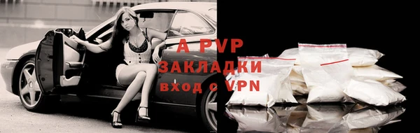 СК Алексин