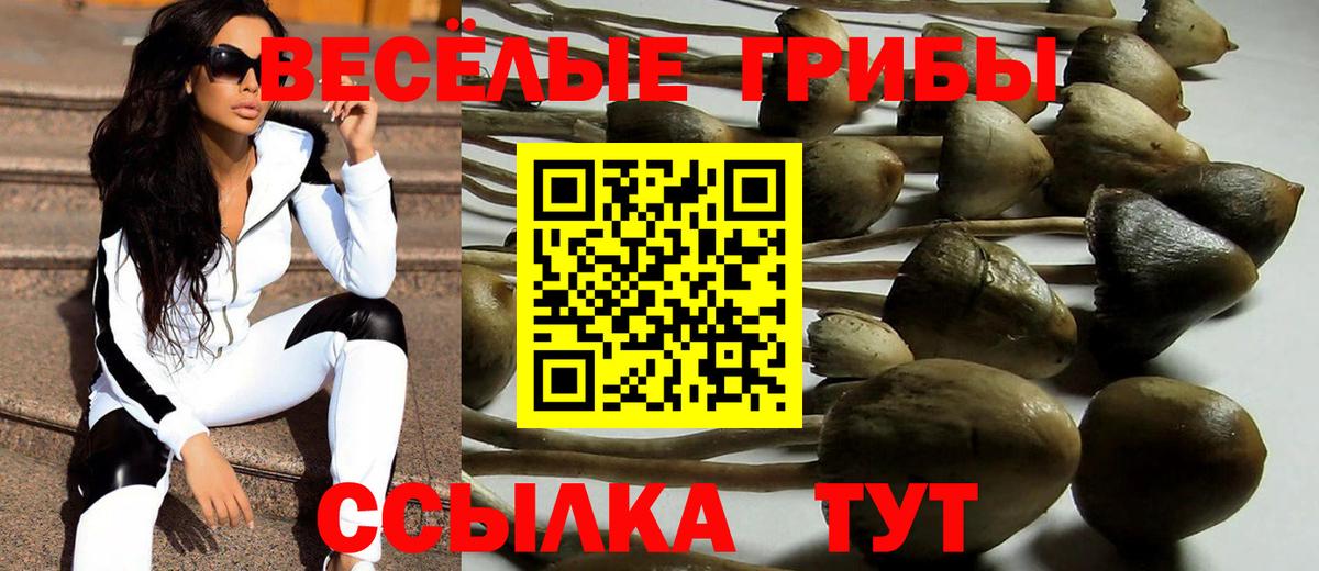 Галлюциногенные грибы мухоморы Старая Русса